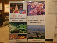 サンプル画像