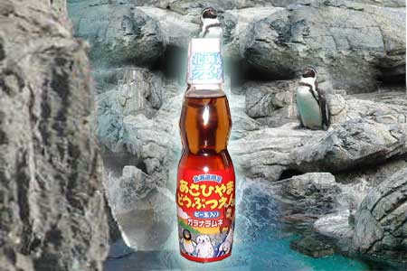 サンプル画像