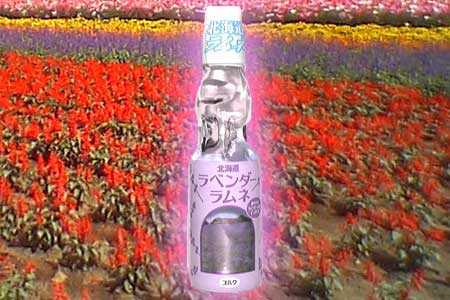サンプル画像