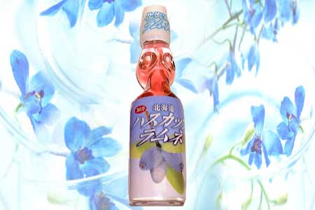 サンプル画像